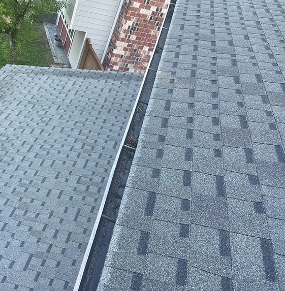 Gutter Cleaning